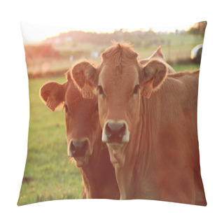 Personality  Cows On The Meadow Pillow Covers