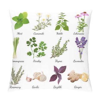 Personality  Spices And Meadow Flowers Herbal Set Pillow Covers