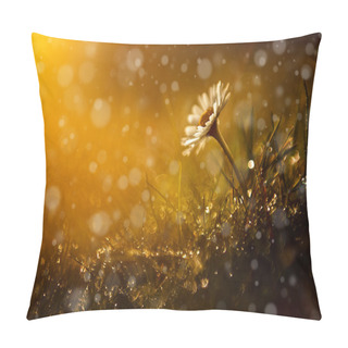Personality  Beautiful Wild Flower In The Forest After Rain And Sunset Pillow Covers