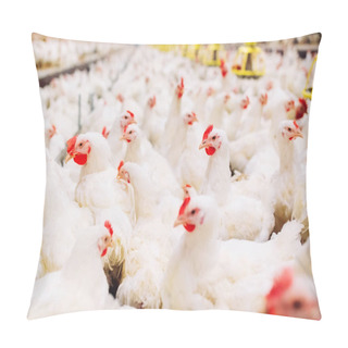 Personality  Chicken Feeding In Indoors Chicken Farm Pillow Covers