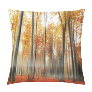 Personality  Misty Autumn Forest Pillow Covers