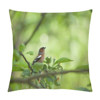 Personality  Small Birdie On A Branch Surrounded With Foliage Pillow Covers