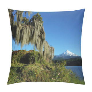 Personality  Spanish Moss Hanging From Tree, Snowy Cone Of Villarrica Volcano And Lake Villarrica In Sunny Day Blue Sky, Green Environment Nature Of Chile, Pucon Pillow Covers