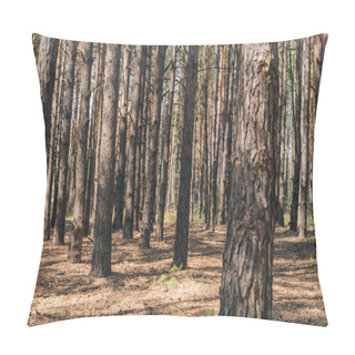 Personality  Selective Focus Of Tree Trunks In Summer Woods  Pillow Covers