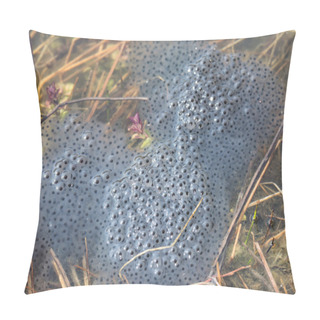 Personality  Frog Spawn Pillow Covers