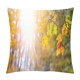 Personality  Autumn Background With Colorful Maple Leaves In The Forest In Sunny Weather Pillow Covers