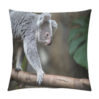 Personality  Koala On A Tree With Bush Pillow Covers