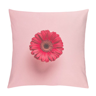 Personality  Close-up View Of Beautiful Red Gerbera Flower Isolated On Pink Pillow Covers