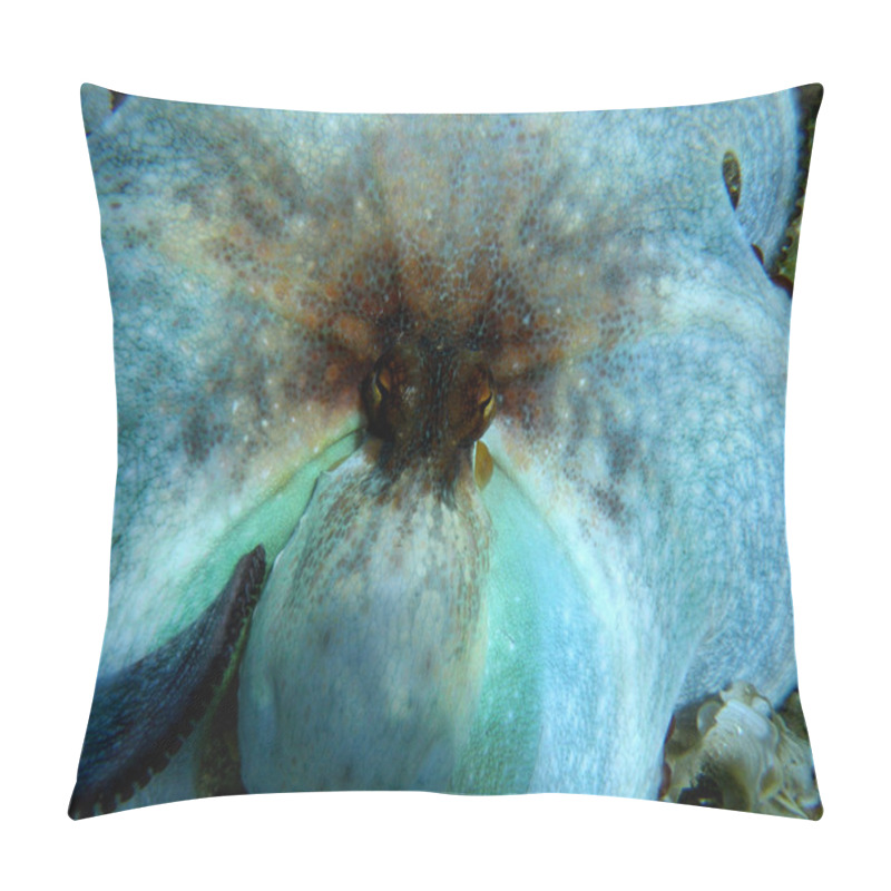 Personality  Scared octopus (Octopus vulgaris) pillow covers