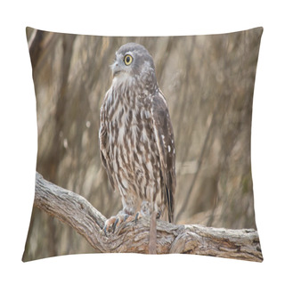 Personality  The Barking Owl Is Perched In A Tree Looking Out For Danger . Pillow Covers