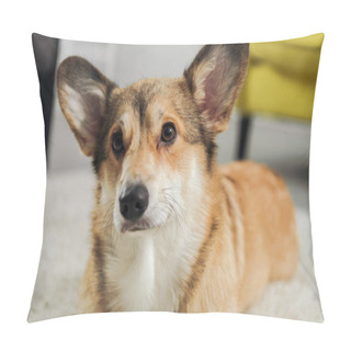 Personality  Close-up Shot Of Cute Corgi Dog Lying On Carpet And Looking Away Pillow Covers