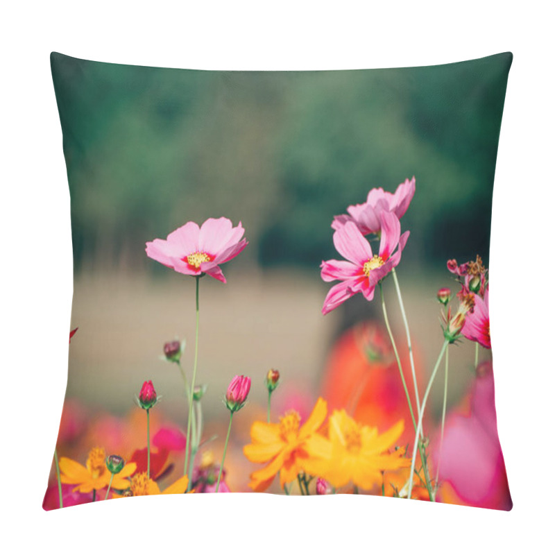 Personality  Beautiful Cosmos Flower Blooming In The Field Pillow Covers