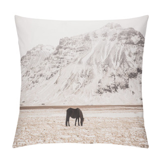 Personality  Horse Grazing Pillow Covers