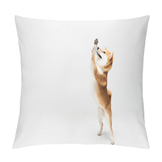 Personality  Funny Shiba Inu Dog Standing On Hind Legs And Waving Paws On Grey Background Pillow Covers