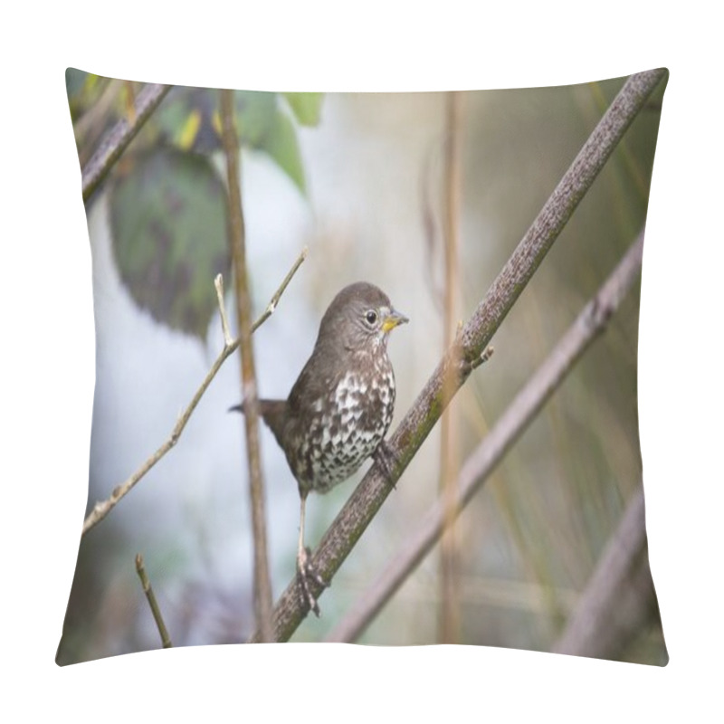 Personality  Fox sparrow (Passerella iliaca)  pillow covers