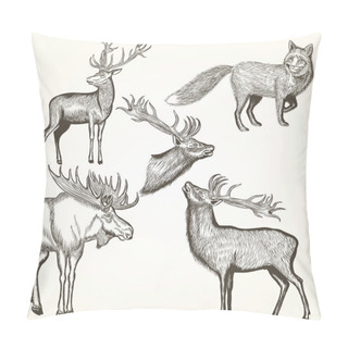 Personality  Set Of Vector Detailed Animals For Design Pillow Covers