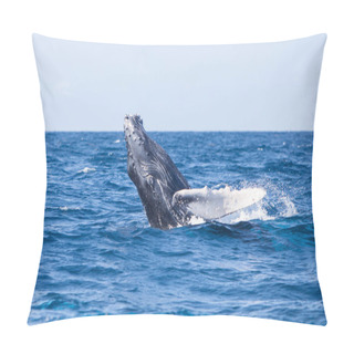 Personality  A Huge Humpback Whale, Megaptera Novaeangliae, Breaches Out Of The Blue Waters Of The Caribbean Sea. Pillow Covers