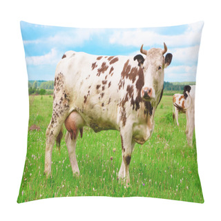 Personality  The Cow Pillow Covers