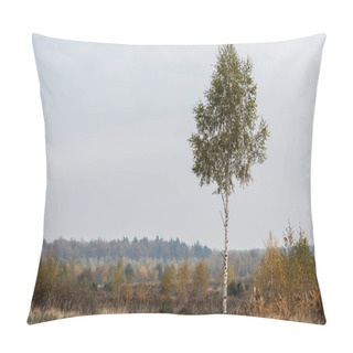 Personality  Green Birch With Fresh Leaves Near Tranquil Forest  Pillow Covers