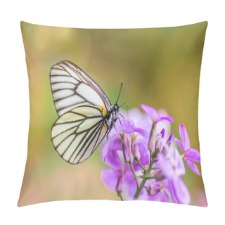 Personality  Butterfly Sitting On A Beautiful Flower. Pillow Covers