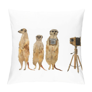 Personality  Standing Meerkats Surikat With Vintage Photo Camera. Watercolor Hand Drawn Illustration Pillow Covers