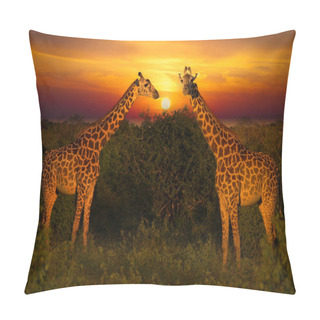 Personality  Beautiful Pictures Of Africa Sunset And Sunrise With Giraffes Pillow Covers
