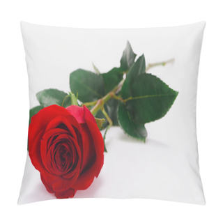 Personality  Close-up View Of Beautiful Tender Red Rose Flower Isolated On White  Pillow Covers