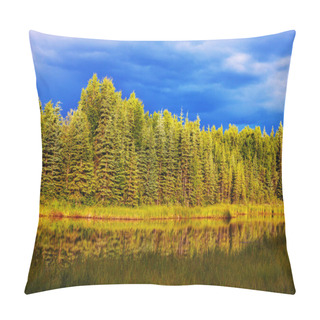 Personality  Serenity Lake In Tundra Pillow Covers