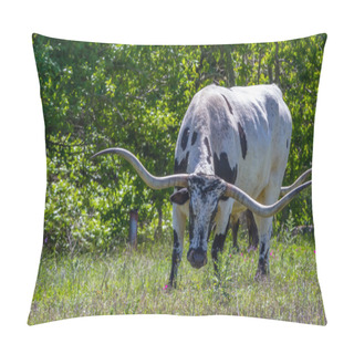 Personality  A Big Texas Longhorn Steer Grazing In A Pasture With Wildflowers Growing In Texas. Pillow Covers