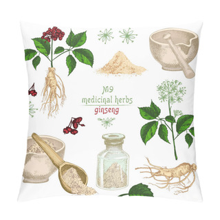 Personality  Realistic Botanical Colorful Sketch Of Ginseng Root, Flowers, Berries, Bottle, Mortar And Pestle Isolated On White Background, Floral Herbs Collection Medicine Plant Vintage Rustic Vector Illustration Pillow Covers