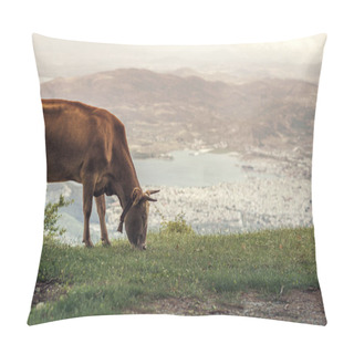 Personality  Cows Graze On A Meadow Of Mountain At Sunset Of Greece. Cow On The Mountain Opposite The Greek City Of Volos. Pillow Covers
