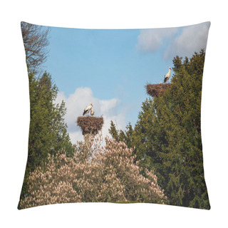 Personality  Beautiful White Storks In The Nest On Blue Sky Backgroung, Springtime, Strasbourg Pillow Covers