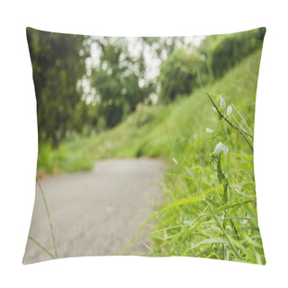 Personality  Asphalt Road Near Green Meadow With Green Grass On Foreground Pillow Covers