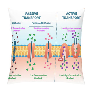 Personality  Active Vs Passive Transport Vector Illustration. Molecular Substance Movement Pillow Covers
