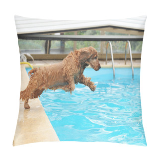 Personality  Purebred English Cocker Swimming In A Swimming Pool Pillow Covers