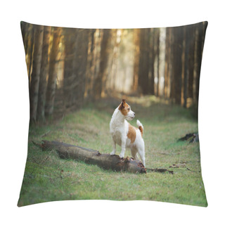 Personality  Dog In The Forest. Jack Russell Terrier In Woods Pillow Covers