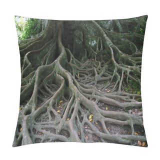 Personality  Tree Roots Pillow Covers