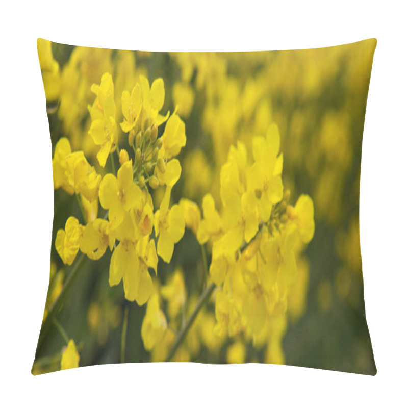 Personality  Rape Flowers Isolated On A Yellow Blur Background. Pillow Covers