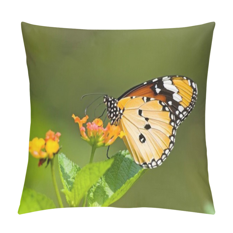 Personality  Milkweed butterfly pillow covers
