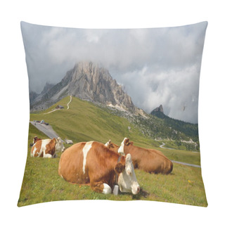Personality  Cows Resting Pillow Covers