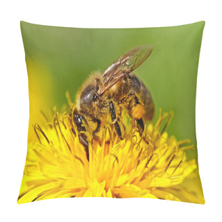 Personality  Bee On Yellow Dandelion. Pillow Covers