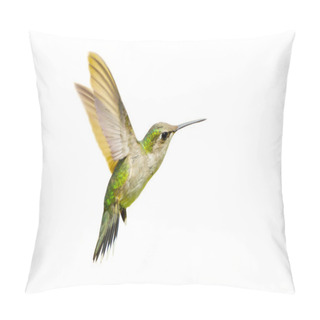 Personality  Ruby Throated Hummingbird. Pillow Covers