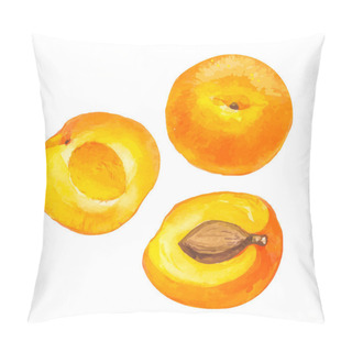 Personality  Vector Illustration With Watercolor Fruit. Apricot. Pillow Covers