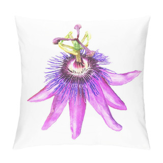 Personality  Passiflora Passion Flower Watercolor Illustration Isolated On White Background Pillow Covers