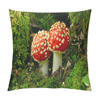 Personality  Fly Agaric - Horizontal Pillow Covers
