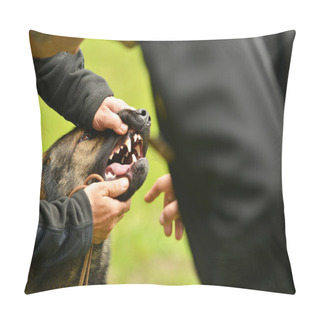 Personality  Dental Check Of Teeth Pillow Covers