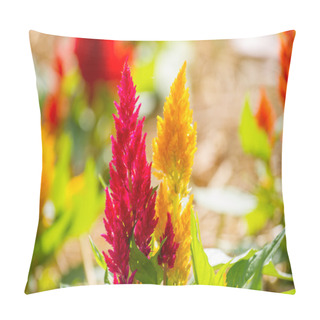 Personality  Cockscomb Flowers Pillow Covers