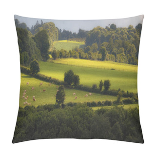 Personality  Among The Fields Pillow Covers