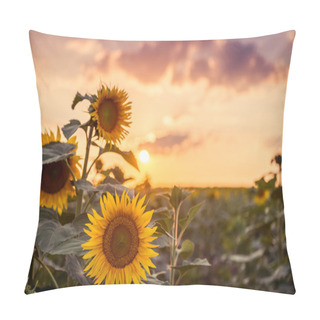 Personality  Sunflower On The Field Pillow Covers