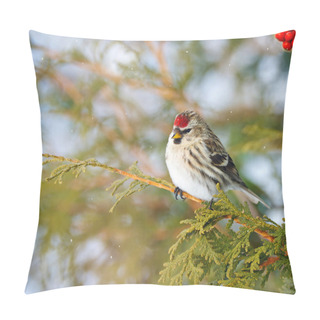Personality  Female Common Redpoll In Winter. Pillow Covers
